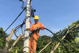 Điện lực Hà Nam đảm bảo cấp điện trong mùa nắng nóng 2019