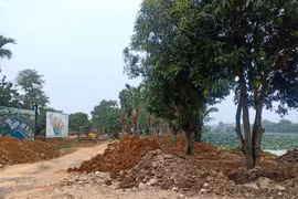Xuất hiện tình trạng phân lô, bán nền trên "giấy" vùng ven Hà Nội