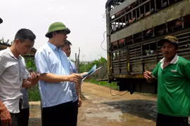 Giám đốc Sở NN&PTNT Thanh Hóa “vi hành” kiểm tra cơ sở tập kết, giết mổ lợn “chui”