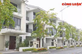 9 tháng đầu năm, giao dịch nhà ở gắn liền với đất tăng gấp 1,5 lần so với 2018