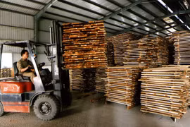 Ngành gỗ cần đảm bảo minh bạch xuất xứ hàng hóa