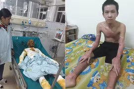 Sự sống hồi sinh với tấm thẻ màu xanh…