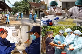 Công tác phòng, chống dịch bệnh: Vẫn còn nhiều con số đáng lo ngại