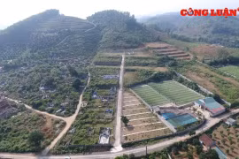 Tân Lạc (Hòa Bình): “Biến” đất rừng thành nghĩa trang, phân lô bán nền trái phép