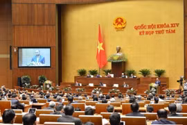 Cử tri mong muốn tâm tư, nguyện vọng của mình được phản ánh trên nghị trường