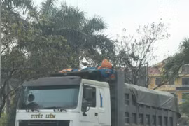 Thừa Thiên – Huế: Khởi tố doanh nghiệp Tuyết Liêm, điều tra các DN liên quan