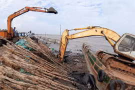 Cà Mau: Triều cường dâng cao, nguy cơ vỡ đê biển