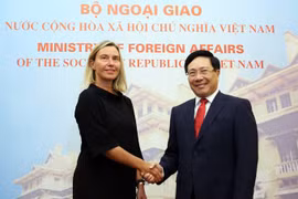 Việt Nam hoan nghênh EU ủng hộ tự do hàng hải, hàng không trên Biển Đông