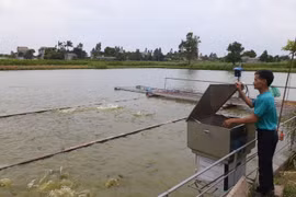 Bắc Ninh: Phát triển ngành thủy sản theo hướng hiện đại, bền vững