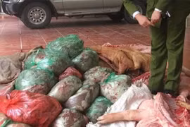 Thực phẩm bẩn vẫn lộng hành