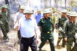 Trưởng ban Tổ chức Trung ương Phạm Minh Chính thị sát các vụ cháy rừng liên tiếp ở Hà Tĩnh