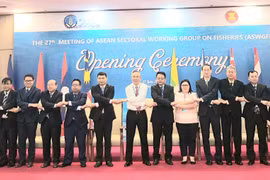 Nhóm họp công tác Thủy sản ASEAN lần thứ 27 tại Đà Nẵng