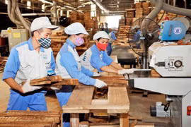 Ngành gỗ sẽ áp dụng quy trình sản xuất tốt nhất để phát triển bền vững