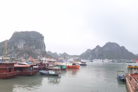 Quảng Ninh: Tăng trưởng kinh tế vượt bậc trong 7 tháng đầu năm 2019