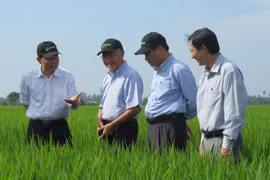 Thay đổi tư duy làm kinh tế nông nghiệp cho nông dân Đồng Tháp
