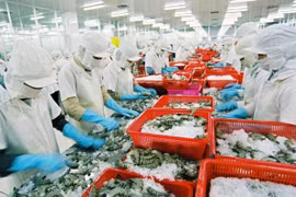 Cần sự cân bằng lợi ích từ cả hai phía DN và NLĐ
