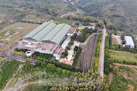 Công an Hòa Bình triệu tập một số người liên quan vụ nước sạch sông Đà bị ô nhiễm