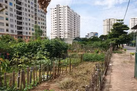 Long Biên (Hà Nội): Người dân mòn mỏi chờ được nhận đất trúng đấu giá!
