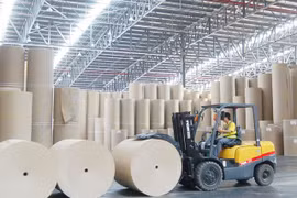 Ngành giấy và chế biến gỗ vẫn còn nghịch lý