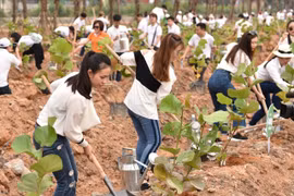 10.000 cây xanh được gieo trồng trong Lễ phát động chiến dịch Go Green 2019 của Tập đoàn FLC