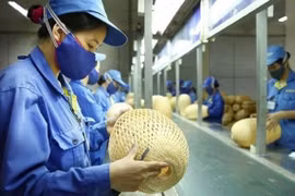 Ưu đãi thuế vẫn khó “lôi kéo” hộ kinh doanh trở thành doanh nghiệp