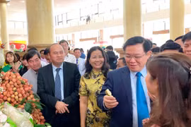 Phó Thủ tướng mong muốn vải thiều Bắc Giang sẽ tiếp tục “được mùa, được cả giá”