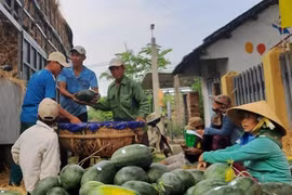 Mở rộng xuất khẩu nông sản theo đường chính ngạch