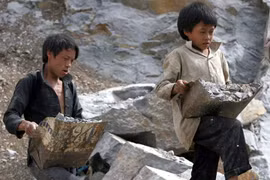 Lao động trẻ em là vấn đề cần sự quan tâm của cả xã hội