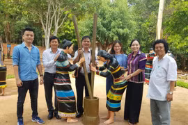 Về đường này, thăm sóc Bom Bo