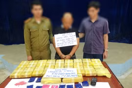Triệt phá thành công đường dây vận chuyển 120.000 viên ma túy tổng hợp từ Lào vào Việt Nam