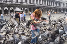 Du lịch Venice - Italy: Những cấm đoán lạ lùng