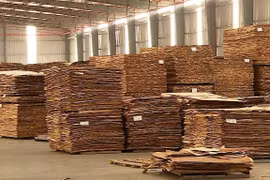Doanh nghiệp phải vào cuộc trong chống gian lận xuất xứ hàng hóa