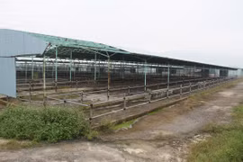 “Đại” dự án chăn nuôi bò thịt tại Hà Tĩnh: Bộ Công an yêu cầu định giá tài sản cố định hiện hữu