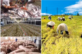6 tháng đầu năm, tăng trưởng ngành nông nghiệp chỉ đạt 2,39% so với cùng kỳ