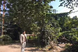 UBND thị xã Phổ Yên “ngâm” đơn khiếu nại của người dân đến bao giờ?