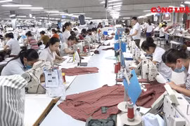Quảng Bình: Cương quyết xử lý nghiêm doanh nghiệp trốn đóng, nợ BHXH kéo dài