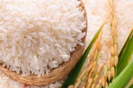 Nhiều yếu tố bất lợi tác động lên giá gạo Việt, Ấn Độ