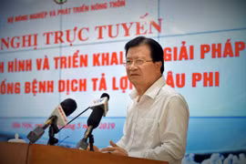 Từng bước ngăn chặn, kiểm soát, loại bỏ bệnh Dịch tả lợn Châu Phi
