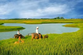 Quán Thanh Xuân tháng 11- đồng quê thương nhớ