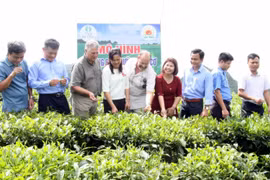 Dấu ấn sau 15 năm tách, thành lập tỉnh