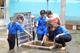 Bộ Giáo dục và Đào tạo huy động học sinh, giáo viên tham gia diệt bọ gậy phòng chống sốt xuất huyết