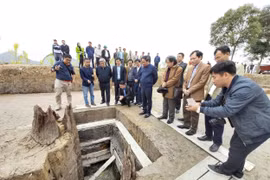 Bảo tồn và phát triển giá trị lịch sử của bãi cọc cổ ở Hải Phòng