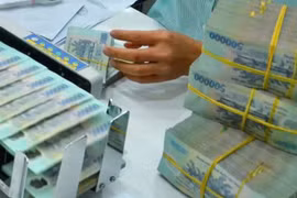 Muốn xử lý triệt để nợ xấu cần sự vào cuộc của các bên liên quan
