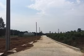 Tăng cường biện pháp để ngăn phân lô bán nền trái phép