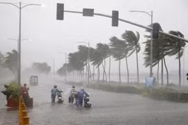 Quảng Ninh: Chủ động phòng chống cơn bão số 2