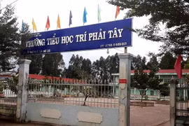Cà Mau: Hủy quyết định chấm dứt hợp đồng sai quy định đối với cô giáo đang mang thai
