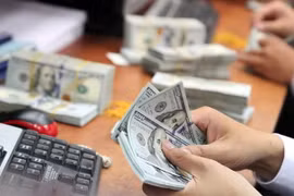 Năm 2019 tỷ giá sẽ không có nhiều sự biến động