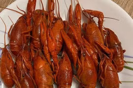 Có thể bị phạt tù nếu cố tình nhập khẩu tôm hùm càng đỏ