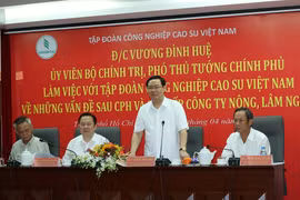 Xây dựng Đề án tái cơ cấu toàn diện VRG sau cổ phần hóa