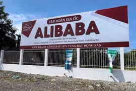 Phó Thủ tướng chỉ đạo Bộ Công an làm rõ phản ánh liên quan đến địa ốc Alibaba